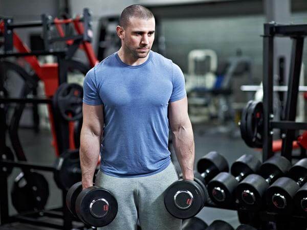 Lịch 7 ngày tập gym của các chuyên gia dành cho người mới