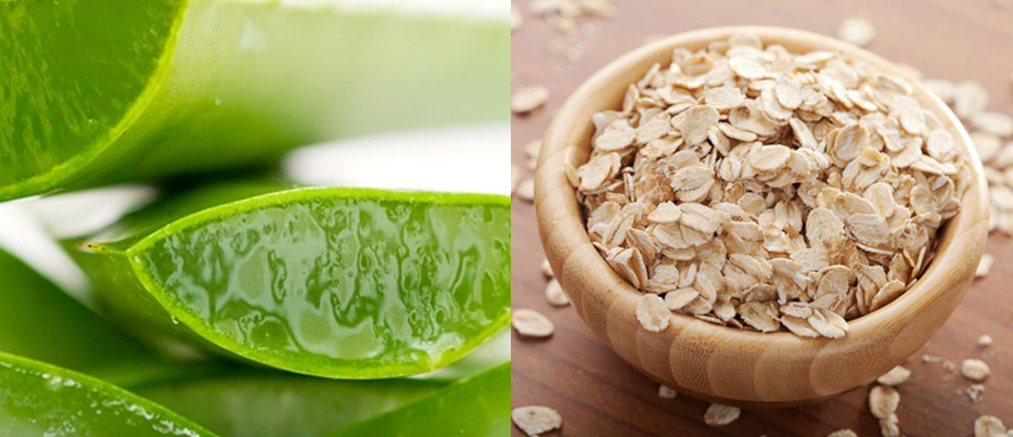 Top 6 cách dưỡng da bằng nha đam hiệu quả nhanh nhất